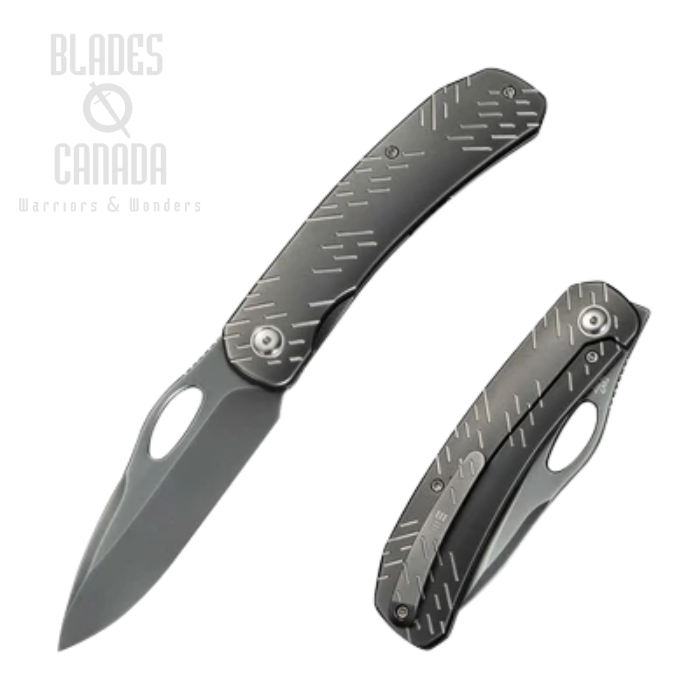 WE Knife Inmate Front Flipper Folding Knife, CPM 20CV Polished Gray, Titanium Gray, WE23096B-4