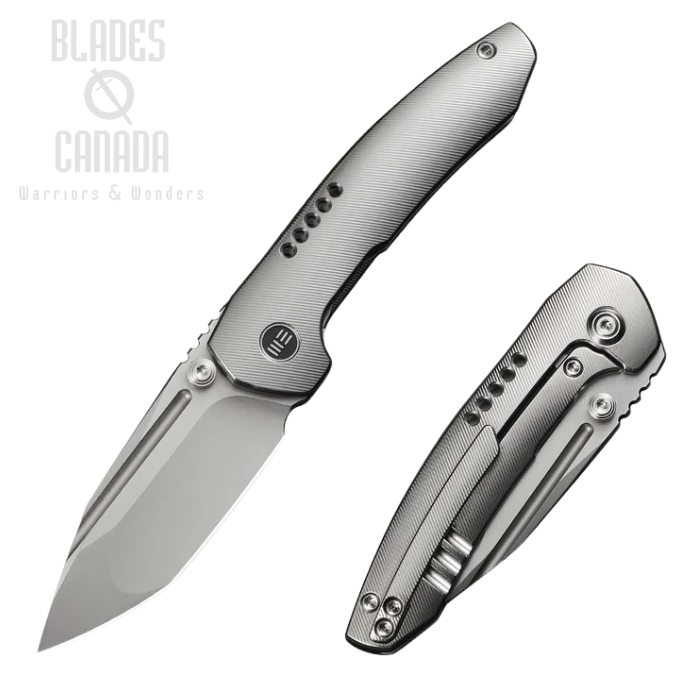 WE Knife Micro Trogon Framelock Folding Knife, M390 Satin, Titanium, WE24043-2 WE Knife Micro Trogon Framelock Folding Knife, M390 Satin, Titanium, WE24043-2