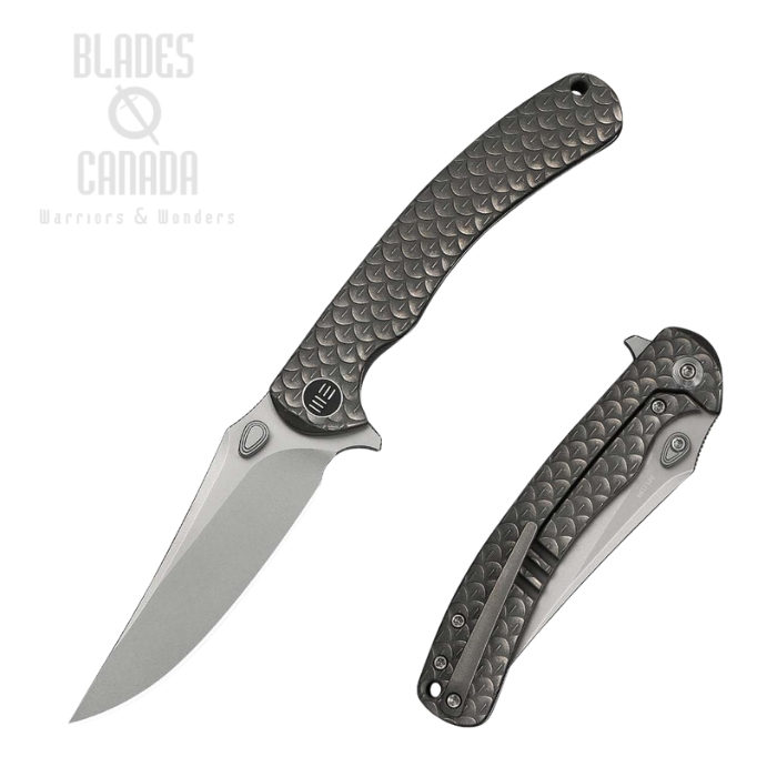 (image for) WE Knife Dracarys Flipper Framelock Knife, Limited Edition, M390 SW, Titanium Gray, WE25061B-1