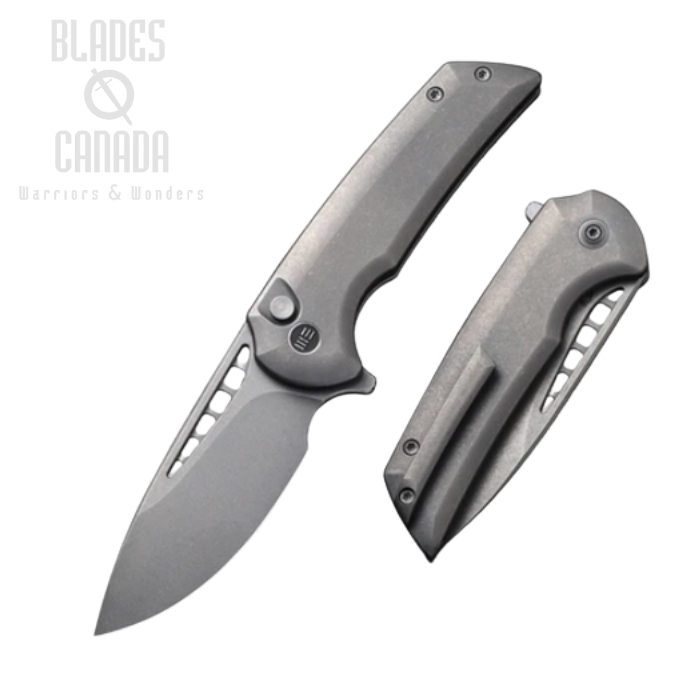WE Knife Ferrum Forge Mini Malice Flipper Folding Knife, CPM 20CV Grey SW, Titanium Grey, 054BL-2