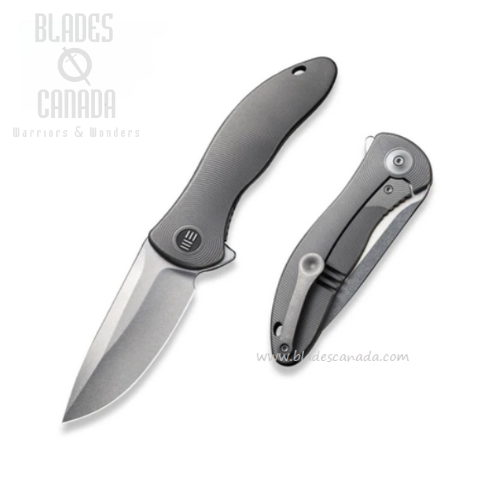 WE Knife Synergy2v2 Flipper Framelock Knife, CPM 20CV SW, Titanium Grey, 18046D-1