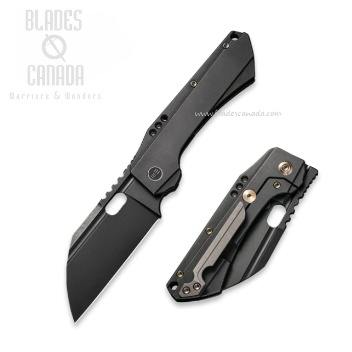 WE Knife Roxi 3 Flipper Framelock Knife, CPM S5VN Black SW, Titanium Black, 19072-2