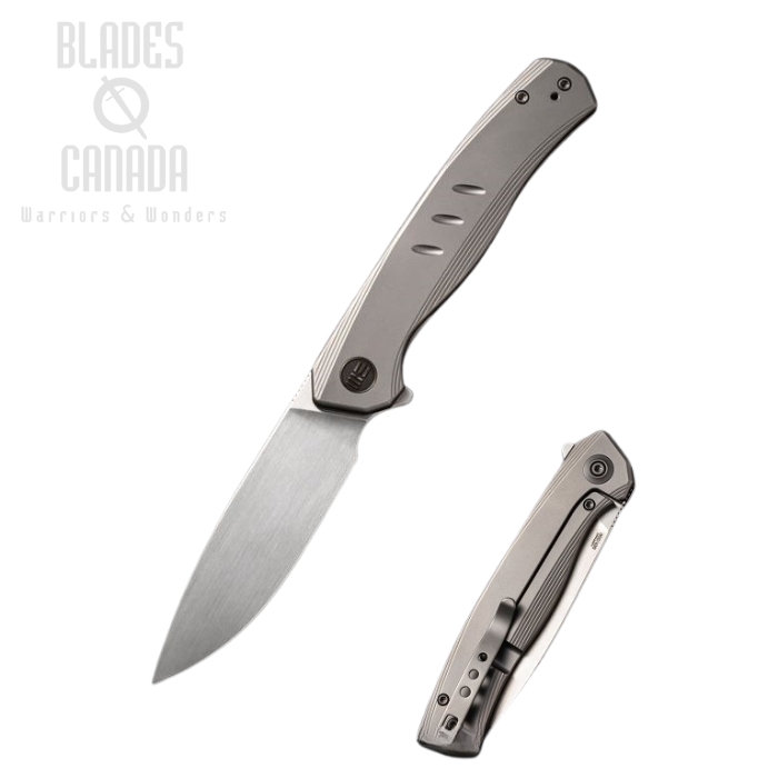 WE Knife Seer Flipper Framelock Knife, Ltd Edition, 20CV, Titanium Gray, 20015-3