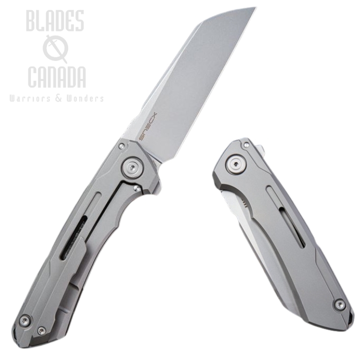 WE Knife Mini Buster Flipper Framelock Knife, 20CV, Titanium, 2003A