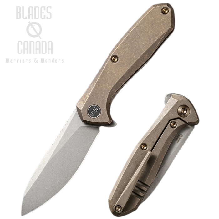 WE Knife Mote Flipper Framelock Knife, CPM S35VN, Titanium, WE2005A