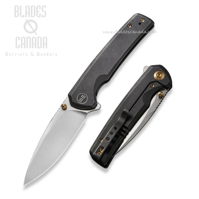 (image for) WE Knife Subjugator Flipper Framelock Knife, CPM 20CV, Titanium Black, 21014C-2