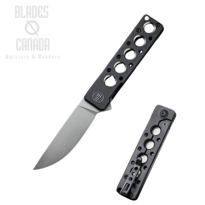 WE Knife Miscreant 3.0 Flipper Folding Knife, 20CV, Titanium Black, WE2101B