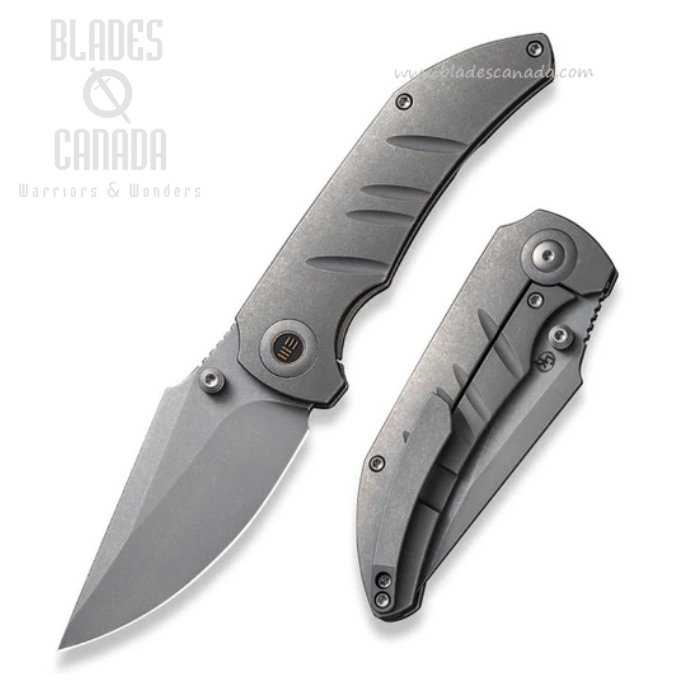 WE Knife Riff-Raff Framelock Folding Knife, CPM 20CV SW, Titanium Gray, WE22020B-3