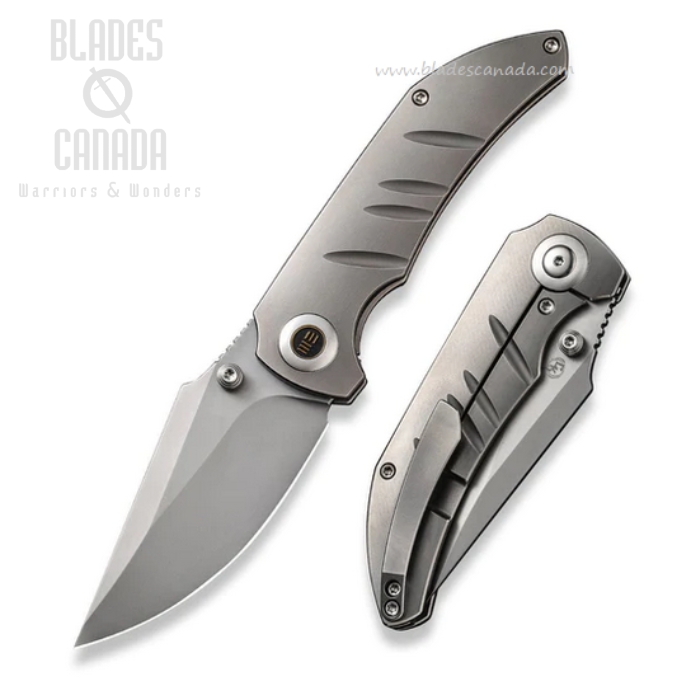 WE Knife Riff-Raff Framelock Folding Knife, CPM 20CV, Titanium Gray, WE22020B-4