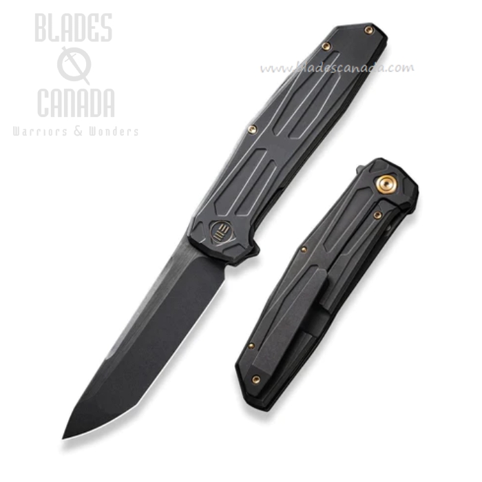 WE Knife Shadowfire Flipper Framelock Knife, CPM 20CV Black SW, Titanium Black, 22035-1