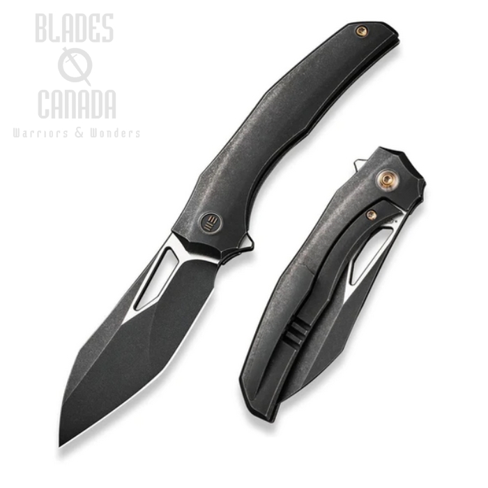 WE Knife Ignio Flipper Framelock Knife, CPM 20CV Black/Satin, Titanium Black, WE22042B-1