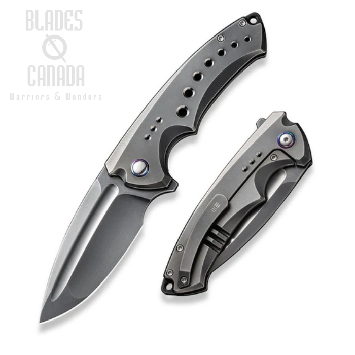 WE Knife Nexusia Flipper Framelock Knife, Ltd Edition, CPM 20CV, Titanium Gray, 22044-6