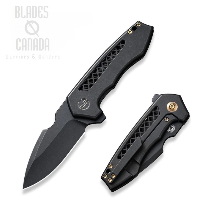 WE Knife Harpen Flipper Folding Knife, CPM 20CV Black SW, Titanium Black, 23019-1