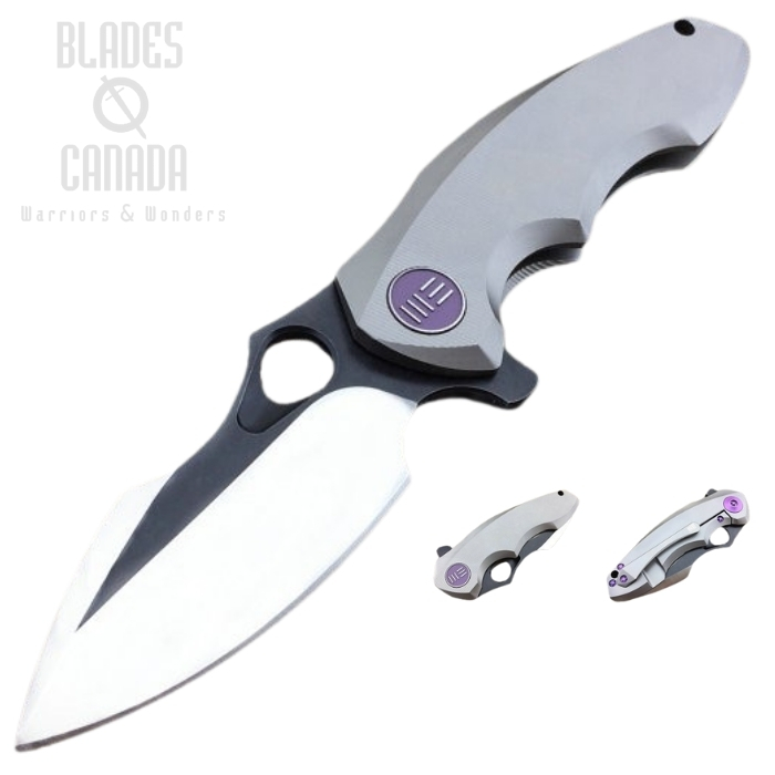 (image for) WE Knife 605J Flipper Framelock Knife, S35VN Two-Tone, Titanium Grey, WE605J