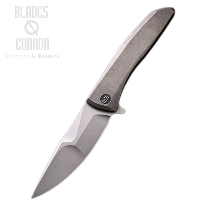 (image for) WE Knife Scoppio Flipper Framelock Knife, CPM 20CV, Titanium Gray, 923B
