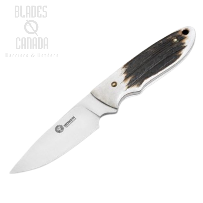 Boker Arbolito Pine Creek Fixed Blade Knife, Stag Handle, Leather Sheath, 02BA701H