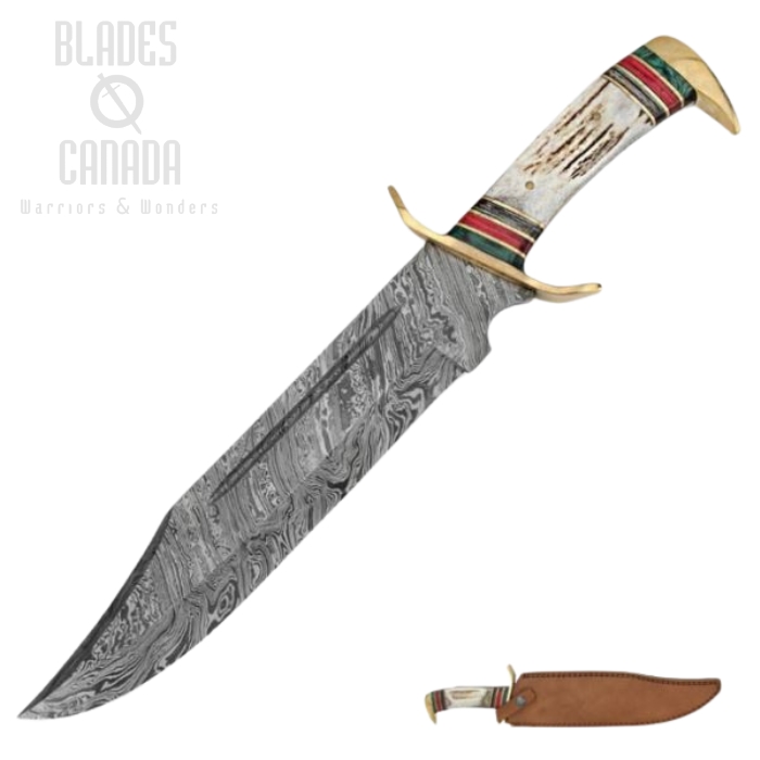 Timber Wolf Stag with Damascus Blade Bowie Knife, TW429