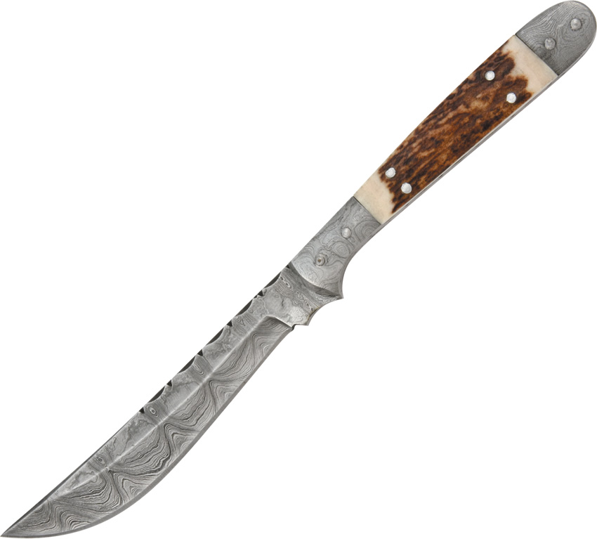 Damascus 1024 Navaja Hunter Fixed Blade Knife, Stag Handle, Leather Sheath, DM1024