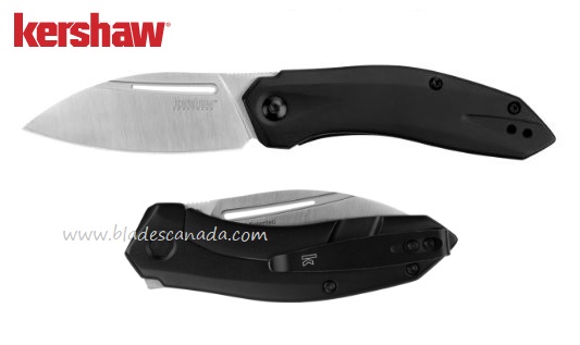 Kershaw Turismo Flipper Framelock Knife, Assisted Opening, D2, Stainless Black Handle, K5505 - Click Image to Close