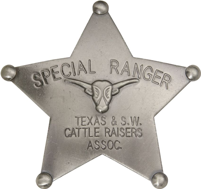 BOTOW Special Ranger Badge - Click Image to Close