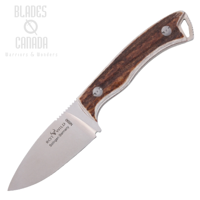 Otter-Messer Rotwild Milan Fixed Blade Knife, N690, Buck Horn, R04HH