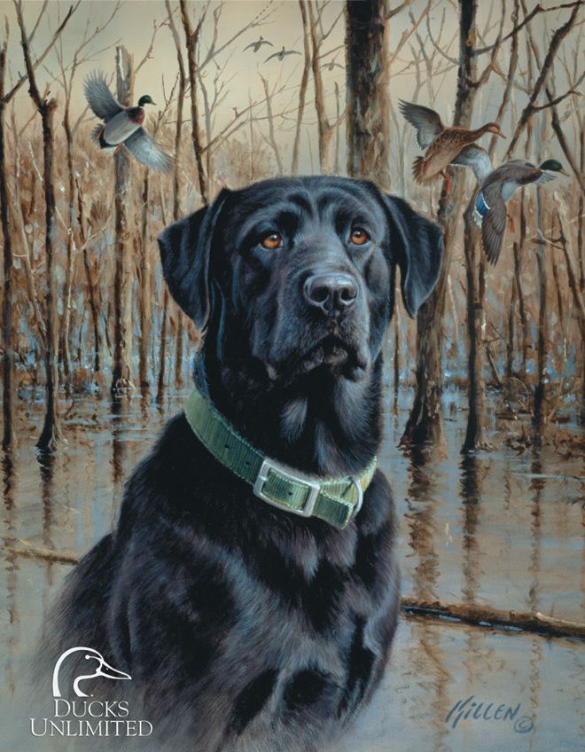 Tin Sign 1203 Ducks Unlimited - Great Retreivers - Click Image to Close