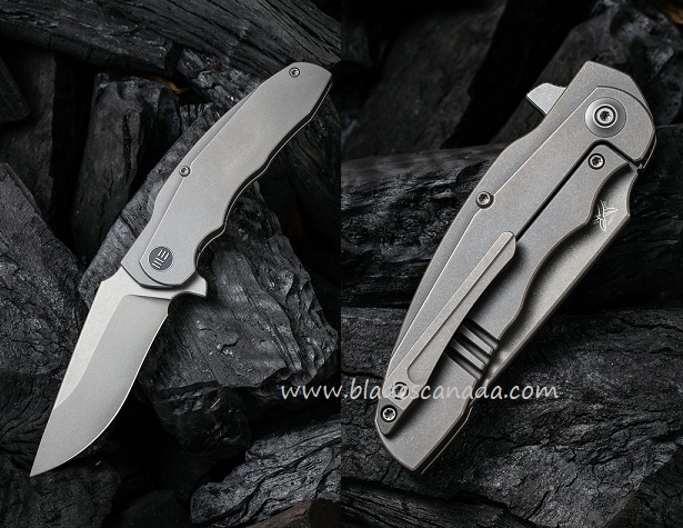 WE Knife Skreech Flipper Framelock Knife, CPM 20CV, Titanium, 2014B - Click Image to Close